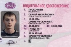 Как проверить водительское удостоверение иностранного гражданина по номеру и серии