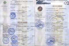 Изображение - Узнать номер водительского удостоверения по паспорту thumbs_6